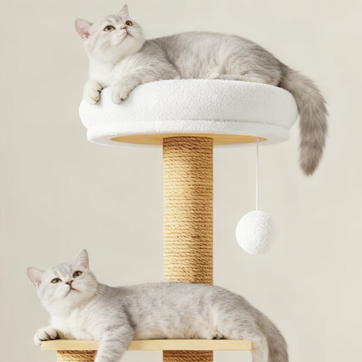 Source Factory Marco de escalada para gatos Nido para gatos Cápsula espacial Árbol para gatos Madera maciza integrada Sisal Juguete para gatos Placa giratoria para gatos resistente Madera maciza 019 Nido de algodón mejorado (30 * 40 * 60 CM)