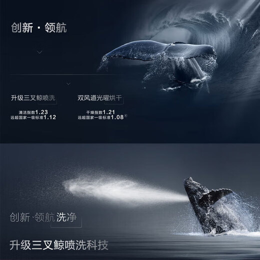 ROBAM boss Robam/boss W76S1L/H901/B500/H600/S2/WB735/WB736/dishwasher W703 offline same model