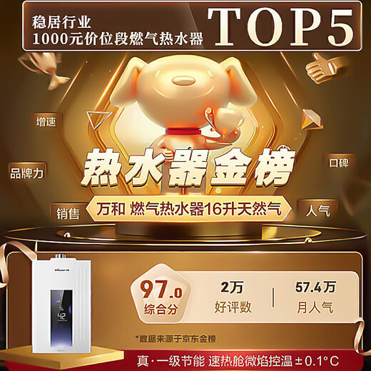 Vanward ME5J16 True Energy Saving Certification National Subsidy 15% 16L Gas Water Heater Natural Gas Intelligent Water Servo Constant Temperature Home Quick Heating Antifreeze Silent