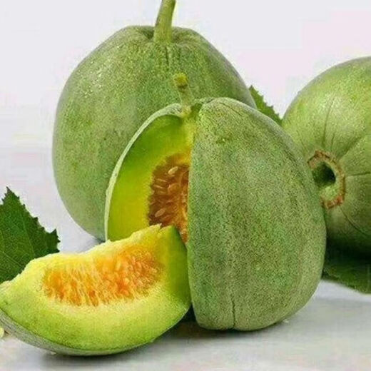 Emerald melon seeds, thin-skinned, super-sweet cantaloupe seeds, spring green-skinned, crispy melons for all seasons, early-maturing, high-yielding cantaloupe seeds, emerald melon seeds/pack, about 100 seeds, 1 pack