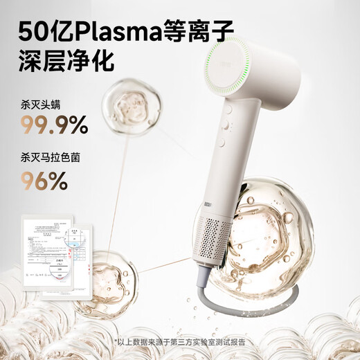 RUAFEE Hair Dryer Home High Speed Plasma Hair Dryer High Power High Wind Hair Dryer Negative Ion Hair Care Low Noise Fast Drying Hair Send Gift National Subsidy Dream Purple