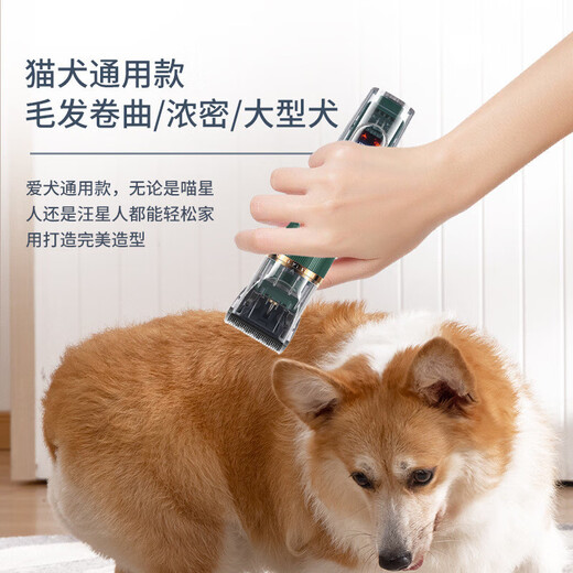Ningbin German pet shaver for shaving feet, pet shop special cat silent four-in-one electric clipper high power dog 2025 new pet shaver pet shop special shaver