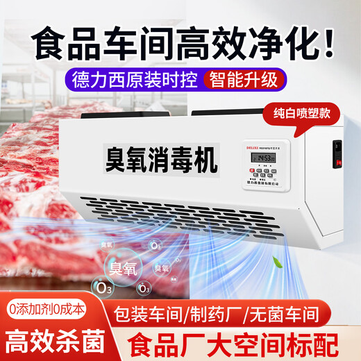 Fenrui wall-mounted Delixi time-controlled ozone sterilizer food factory garbage room cold storage ozone generator sterilization and deodorization upgraded spray model - ozone sterilizer 50g/H Delixi intelligent start and stop