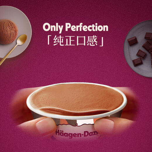 Haagen-Dazs classic chocolate flavor ice cream 2 cups sharing size 116g total