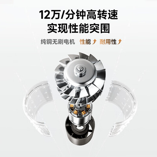 RUAFEE Hair Dryer Home High Speed Plasma Hair Dryer High Power High Wind Hair Dryer Negative Ion Hair Care Low Noise Fast Drying Hair Send Gift National Subsidy Dream Purple