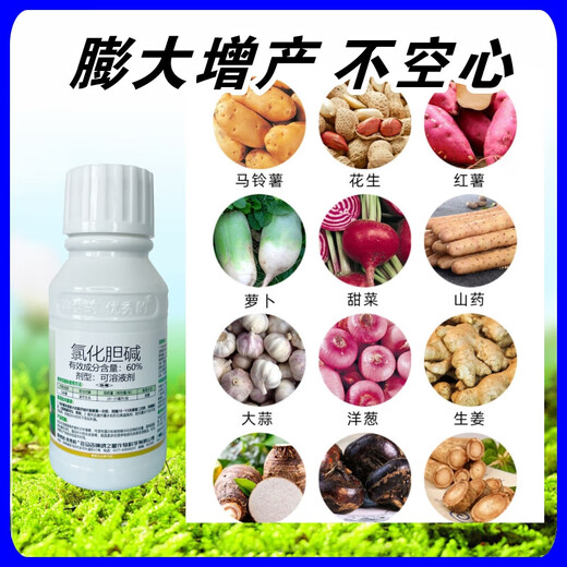Choline chloride, garlic, ginger, onion, sweet potato, potato, peanut, medicinal underground rhizome expansion hormone regulator 100g1 bottle (100g/bottle)