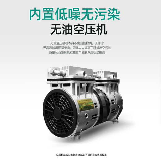 Aijenu 100g oxygen source water treatment ozone generator workshop clean water plant food workshop deodorization sterilization machine 100g air source water-cooled type