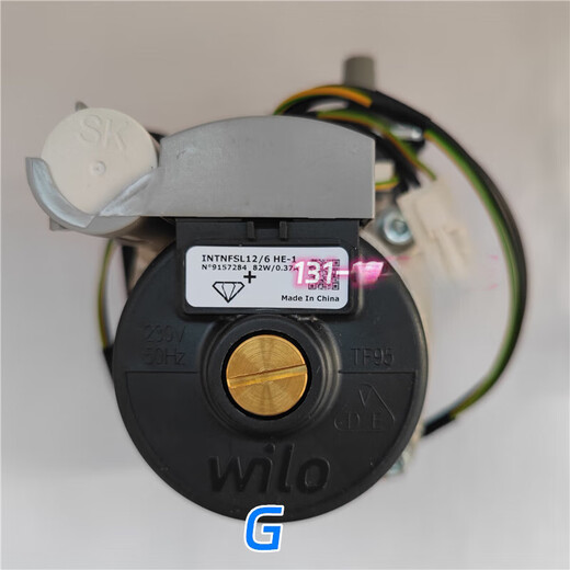 Gas wall-hung boiler German Wilo water pump original accessories motor motor 57 59 60 63 C model-60W-YYJ (imported new single motor)
