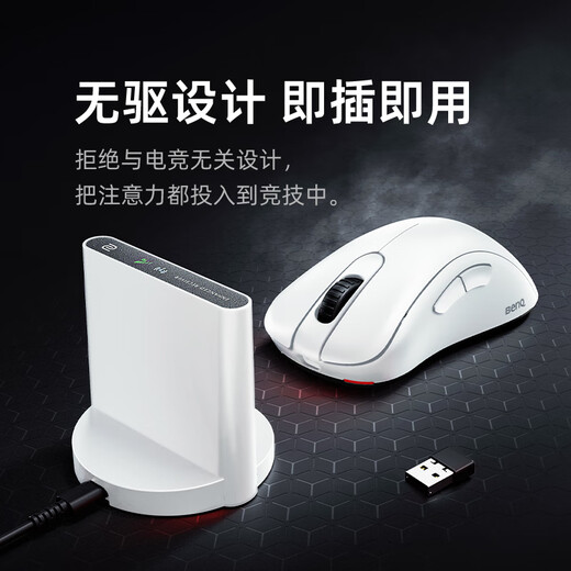 卓威奇亚（ZOWIE GEAR）EC2-DW 白色特别版 无线鼠标 FPS游戏鼠标 人体工学设计 cs2吃鸡lol无畏契约 电竞鼠标 趴握