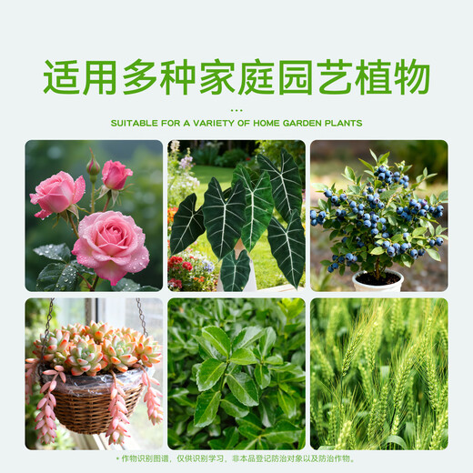 Stanley Difenfen Fenoconazole Anthracnose Leaf Spot White Powder Black Spot Commonly Used Fungicides for Rose Flower Diseases and Pests 500g Essential for Stocking 5 Bottles