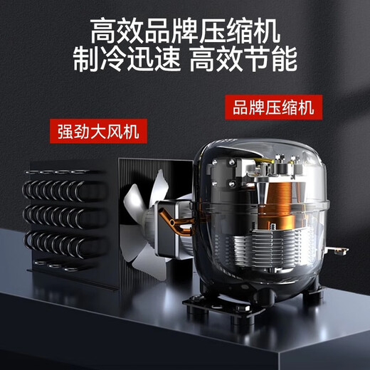 志高（CHIGO）展示柜商用立式冷藏保鲜柜酒水饮料超市酒吧便利店冷柜水果啤酒单门双门展示柜 218L单门下机【直冷】低耗节能