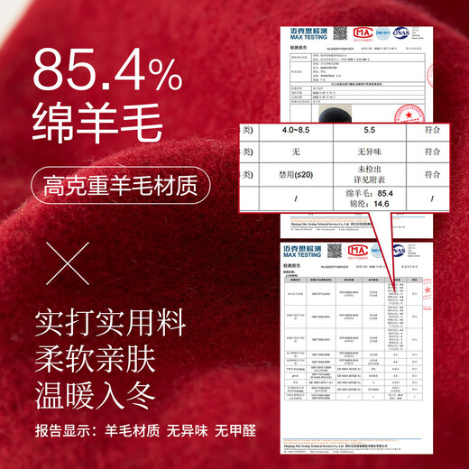 Really enjoy the hat beret women's autumn and winter wool fashion fashionable Christmas birthday gift B176 Chinese red