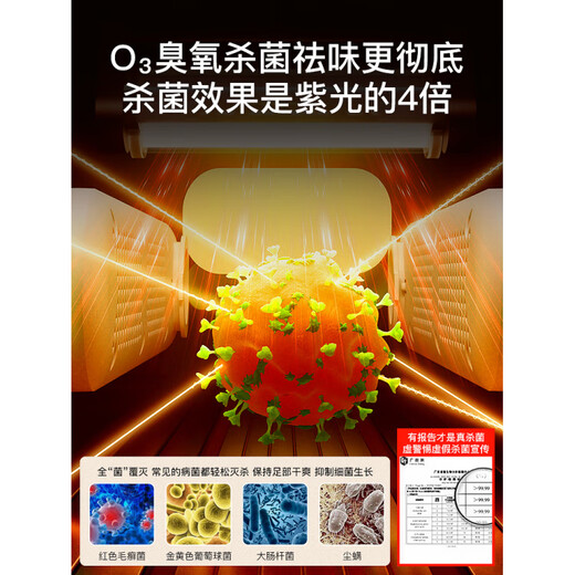 Xiaomi Youpin shoe dryer, shoe dryer, deodorizing artifact, wet and dry shoe dryer, fully automatic baking for home use, single stand to dry 1 pair at a time, salt box exclusive version_deodorizing rose salt blue light