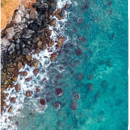 Tuojin imported quality translucent apron from Japan for kitchen household long-sleeved waterproof and oil-proof adult coveralls overalls for killing fish, all-inclusive_no pockets_one size fits all_black