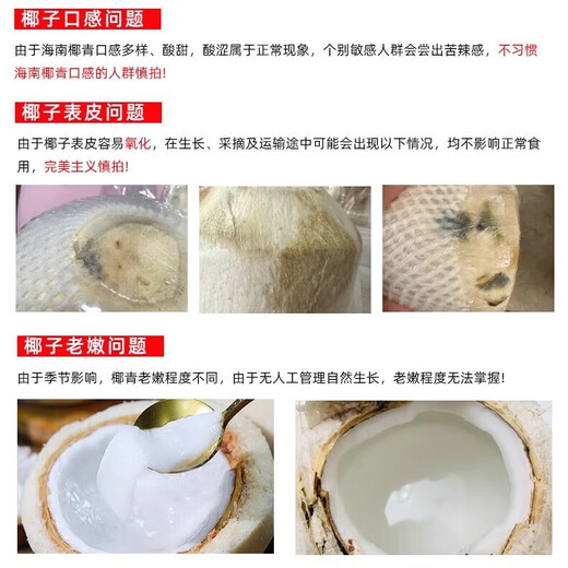 Hainan Fresh Pure Natural Peeled Coconut Green Coconut Ready-to-Eat Pregnant Women Fruit Coconut Chicken Soup Coconut Meat Coconut White - Wancheng Cost-Effective Green Coconut 2 Pack (Single Fruit Starting from 800g)