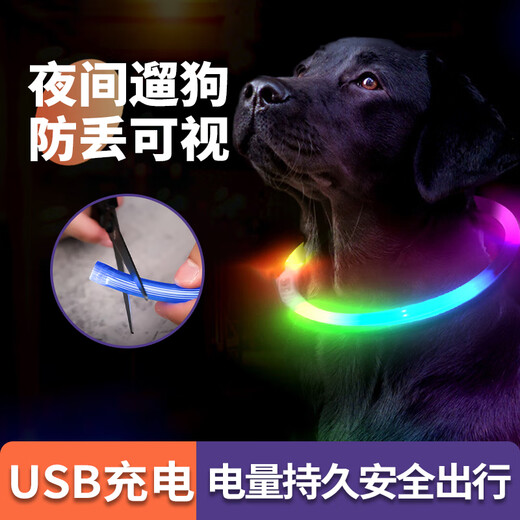 Patent leather dog luminous collar, adjustable length, night walking pet collar, cat and dog anti-lost, rechargeable