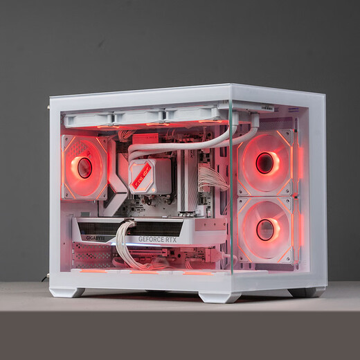 GIGABYTE Premium Host-AMD Ryzen 7 9800X3D/9600X/RTX5080/5070Ti/5060Ti-White Ocean View Room Computer Desktop Complete Machine PL丨Two R5 9600X丨9060XT 16G