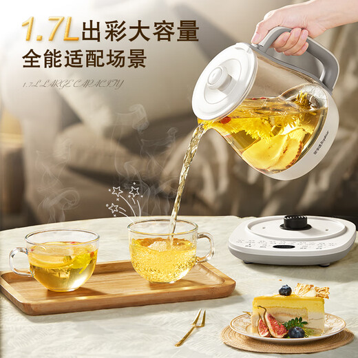 Royalstar Health Kettle Constant Temperature Kettle Kettle 316 Electric Kettle Teapot Flower Teapot Milk Warmer 24H Insulation 1.7L Household Kettle YSH1759Y (316)