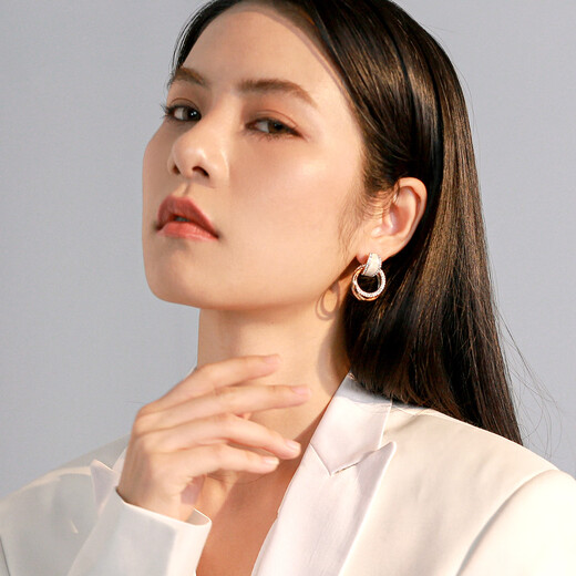 Yalundi earrings silver earrings for women sterling silver niche unique earrings for women 2025 new hot style high-end light luxury temperament earrings