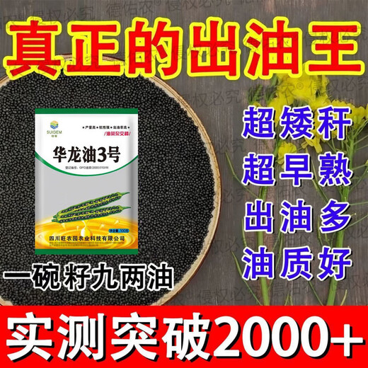 High-yielding rapeseed hybrid large-grained rapeseed Academy of Agricultural Sciences special seed for oil extraction short stem resistance to lodging and frost resistance 100g about 22,000 seeds + high-yield technology