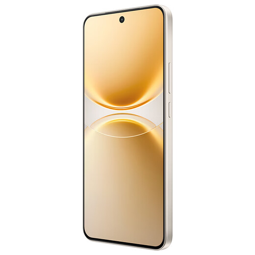 Vivo Y500 Pro National Subsidy 200 Million HP5 Flagship Main Camera 7000mAh Blue Ocean Battery IP68+IP69 Full Level Waterproof AI Imaging Phone Xiangyun Gold 8GB+128GB