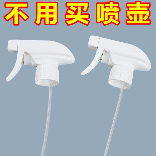 金正(NINTAUS)高温高压蒸汽清洗机清洁机家用厨房空调家电油烟机清洗消毒擦玻璃神器清洁机 多功能喷头