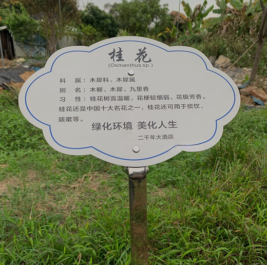 Tree sign, customized tree and flower sign, hanging plant popular science sign, ancient tree insertion sign, introduction sign, stainless steel 20*30CM