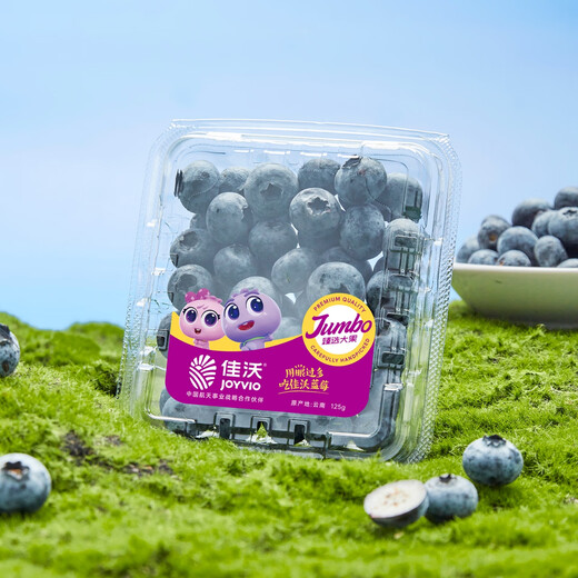 JOYVIO Yunnan Blueberry Sweet Floral Series 14mm+ 4 boxes gift box about 125g/box fresh fruit