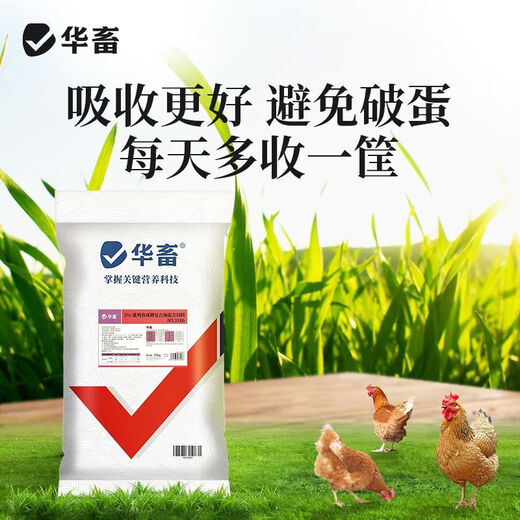 Huazhu laying hen premix special chicken native chicken free-range chicken breeding period egg production hen egg feed 50 Jin Jin is equal to 0.5 kg bag 1 bag breeding period compound premix, the whole ton is more discounted
