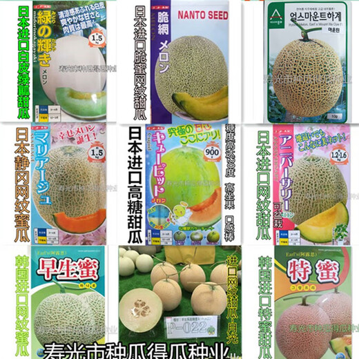 Japanese imported reticulated melon seeds, sweet watermelon horn honey seeds, fruit spring vegetable seeds, white skin and green flesh melon 100 original pieces