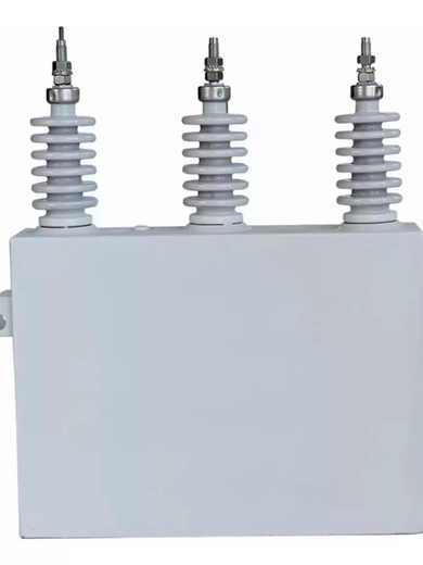 High voltage capacitor BAMBFM113 fixed parallel capacitor high voltage filter high voltage complete set of power capacitor BAM113-100-1W