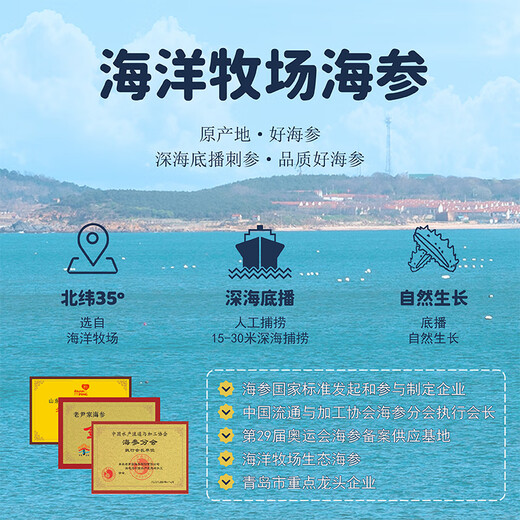 Lao Yin's fresh sea cucumber nourishing ready-to-eat 4-5 years deep sea sowing individually packaged frozen fresh sea cucumber winter nourishing gift fresh sea cucumber 300g 16 or more 500g