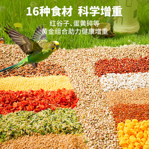 Bick Bear budgie seed grain tiger skin special probiotic feed shelled five-color millet grain 750g