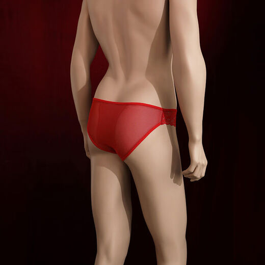 Men's crotchless lace underwear, sexy pure lust, hot special briefs shorts, thong, men's inner see-through, white, one size fits all