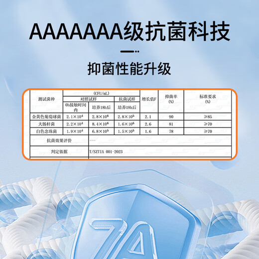 7A Antibacterial 100% Cotton Basic Bottoming Shirt Long Sleeve T-shirt Men's Casual Inner Versatile T-shirt for Men and Women White 2XL Recommended 140-155Jin Jin is equal to 0.5 kg