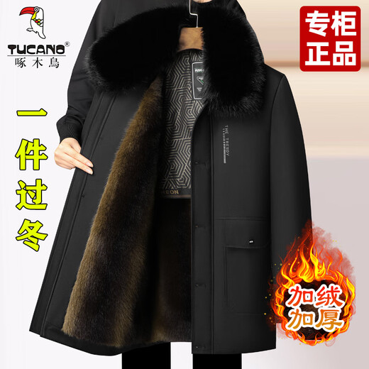 Woodpecker (TUCANO) cotton-padded jacket for men 2025 winter new style men's detachable large fur collar Northeastern cotton-padded jacket thick coat dad cold-proof fleece jacket navy blue plus velvet thickening XL
