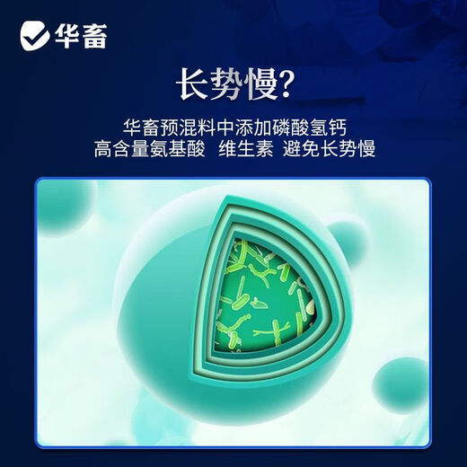 Huazhu 4% beef cattle feed and mutton sheep premix, fattening sheep feed, cattle feed, cattle and sheep feed additives, 4% beef cattle and sheep fattening compound premix feed