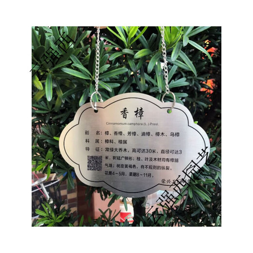 Stainless steel tree sign spring tension spring rope hanging chain stainless steel material retractable without damaging the tree sign sign customization stainless steel 0.8*100CM spring with one screw 0x0cm