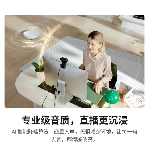 影石（Insta360）【新品上市】 Link 2 云台版 AI智能4K直播摄像头高清美颜电脑直播设备（标准套装）