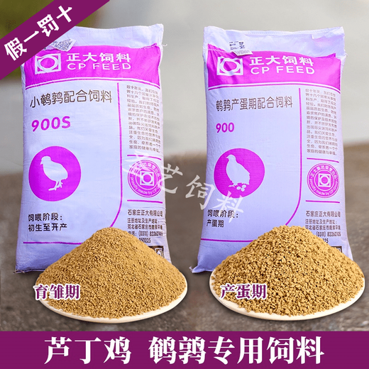 Chia Tai Food 900 rutin chicken feed quail egg laying special chick opening brooding rutin chicken chicks general food multi-dimensional brooding egg laying period
