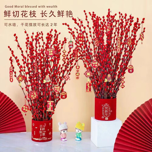 Silver willow real flowers, fresh branches, New Year's Eve flowers, red dried flowers, lucky bucket, silver willow, hydroponic plants, flowers, living room interior decoration, high-quality A-grade silver willow, 60cm, 40 branches (4 colors mixed and matched) + 2 small lanterns
