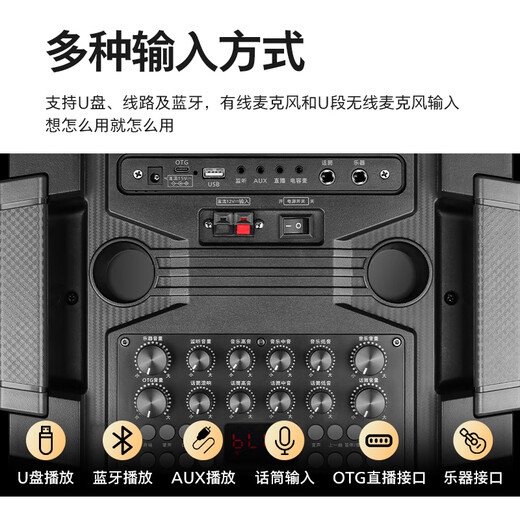 Philips (PHILIPS) SD180T 12-inch square dance speaker outdoor stage high-power mobile portable trolley speaker wireless Bluetooth high volume karaoke with dual microphone microphone