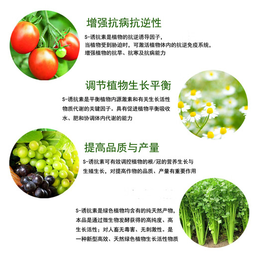 Guoguang Dynamics S-induced antibiotic aqueous tobacco induced drought and cold resistance, disease resistance, salt tolerance, increased yield, plant growth regulator 1000ml*5 bottles