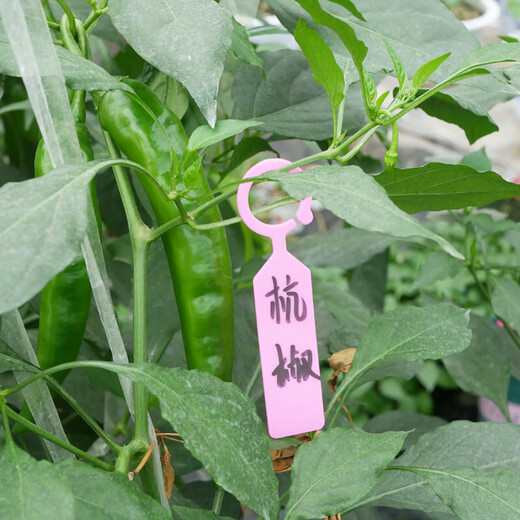 Gardening label thickened waterproof colorful plastic flower label plant flower pot flower name hook type hanging label buckle orange buckle label 100 thickened and light-resistant