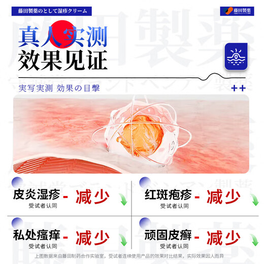 Fujita Pharmaceutical Eczema Ointment Anti-itching Skin Itching Dermatitis Eczema Fungal Infection Sweat Herpes Anal Itching 1 Box