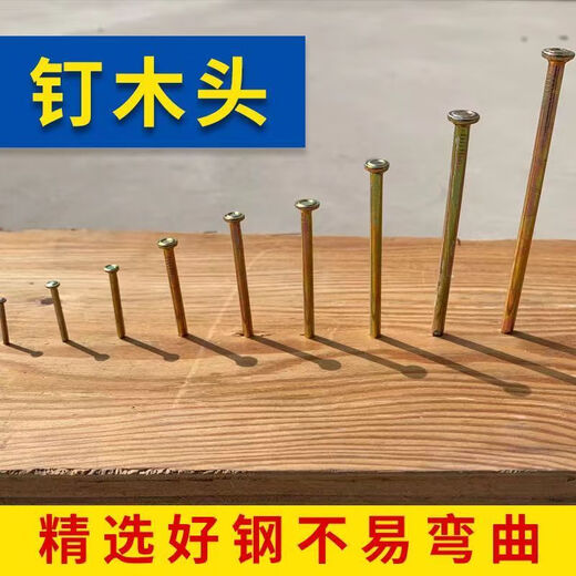 Vinoa High-Strength Cement Nails Woodworking Steel Nails Household Hard Nails High-Strength Painting Special Nails Concrete Steel Nails Silver-2cm (Sample 1)