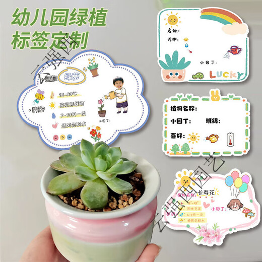 Kindergarten plant label insert card plant care card DIY plant care card card school plant corner logo 05 blank card 9MMPVC covered with crystal film 10x16cm