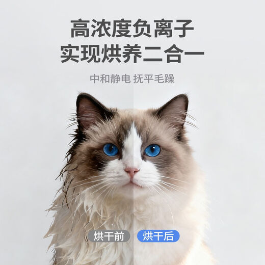 小米宠物烘干箱烘干机吹水机家用狗狗吹干毛神器全自动吹风机宠物用品 宠物智能烘干箱100L