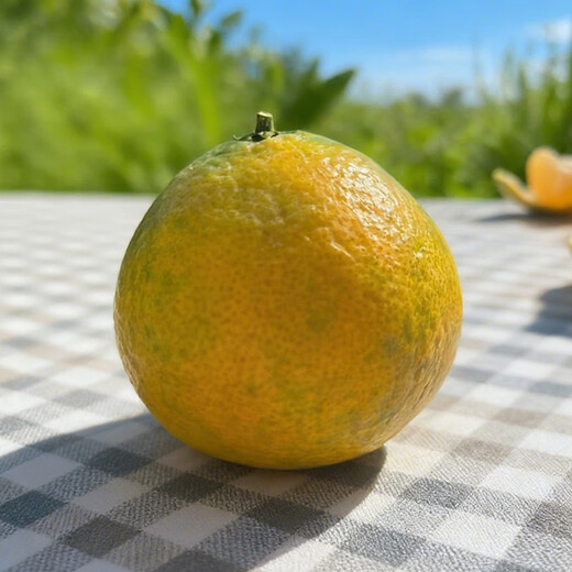 京鲜生 爱媛果冻橙 净重5斤 单果130g起 生鲜水果桔子礼盒