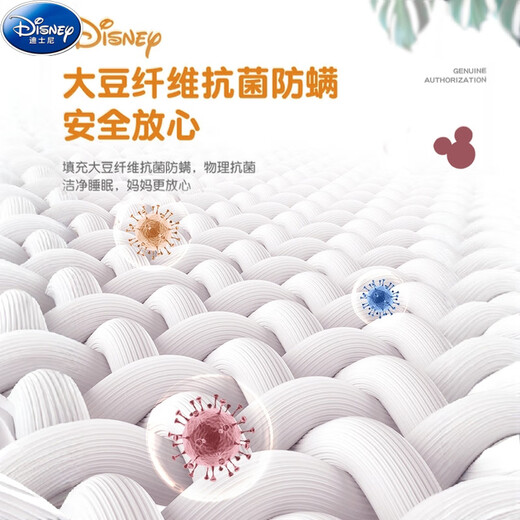 Disney (Disney) Beanie Quilt Winter Quilt Children Kindergarten Blanket Newborn Baby Blanket Baby Small Cover Blanket Daisy Pink 100x120cm Spring and Autumn Style/Beanie Quilt Suitable